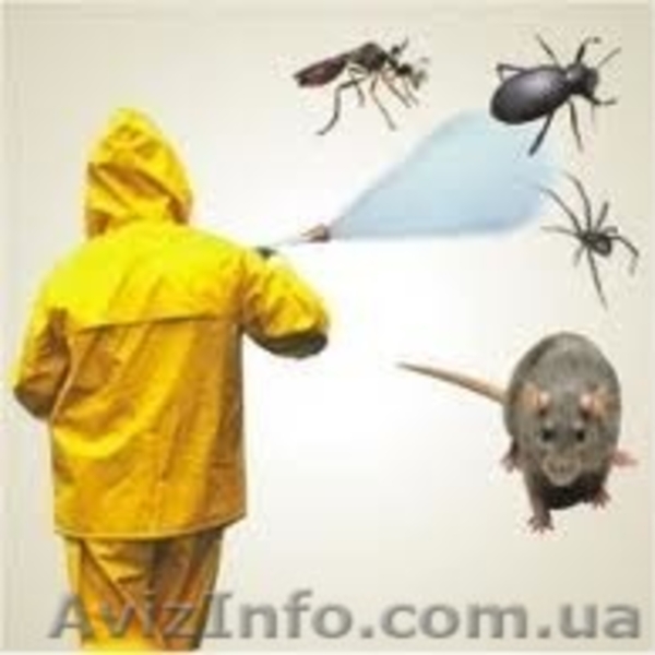 Комплексное уничтожение насекомых. - <ro>Изображение</ro><ru>Изображение</ru> #5, <ru>Объявление</ru> #584959