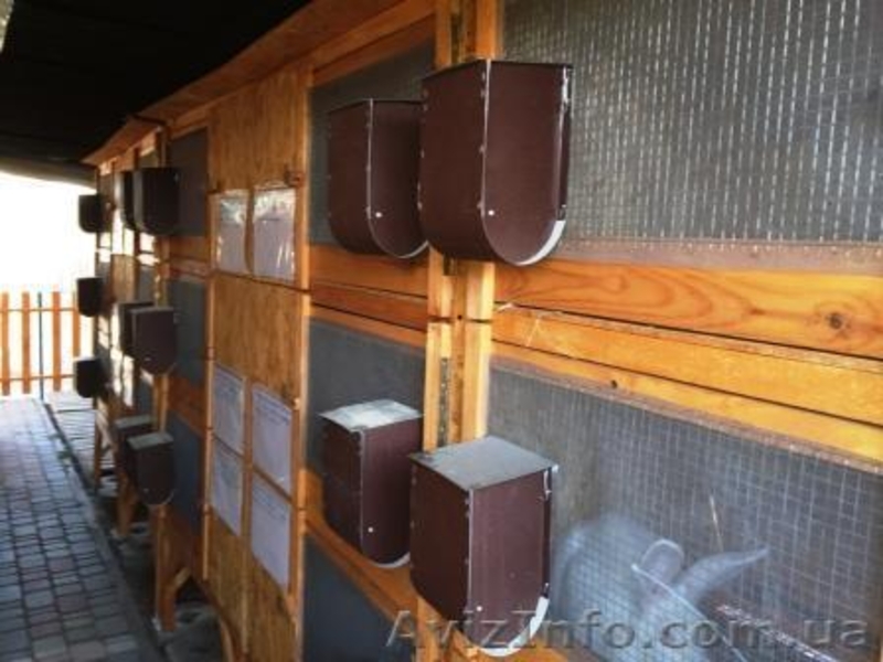 Продам - изготовлю клетки для кроликов - <ro>Изображение</ro><ru>Изображение</ru> #3, <ru>Объявление</ru> #1263746