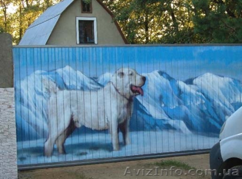 ПРОФЛИСТ Зимний ЦЕНОПАД 50% в Киеве от производителя!Упаковка+Доставка - <ro>Изображение</ro><ru>Изображение</ru> #1, <ru>Объявление</ru> #1367399