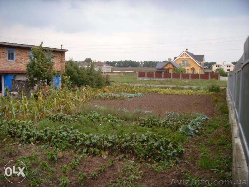 участок в с 12с..Петровское - <ro>Изображение</ro><ru>Изображение</ru> #3, <ru>Объявление</ru> #1393158