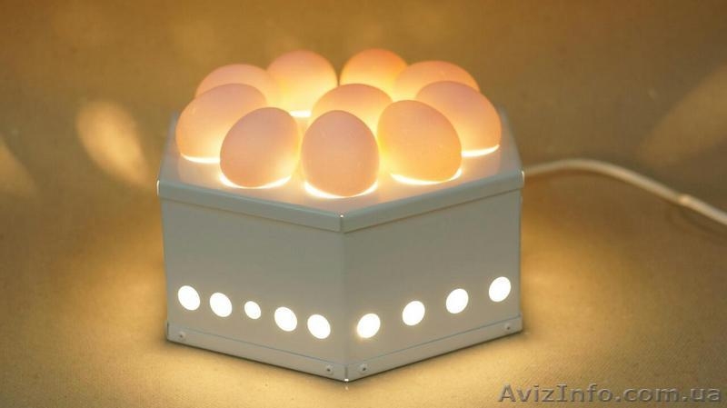 Портативный настольный овоскоп ОН-10лт  на 10 яиц - <ro>Изображение</ro><ru>Изображение</ru> #2, <ru>Объявление</ru> #1387667