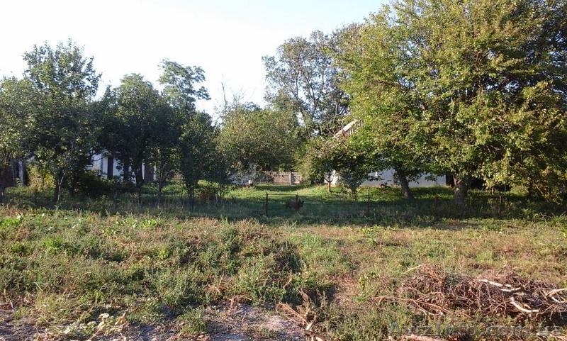 Продам дом в селе Капустянци. - <ro>Изображение</ro><ru>Изображение</ru> #5, <ru>Объявление</ru> #1388885