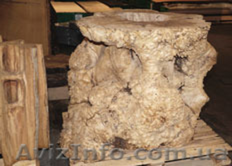 Куплю кап, сувель  объемные корни, комель.  - <ro>Изображение</ro><ru>Изображение</ru> #3, <ru>Объявление</ru> #1372549