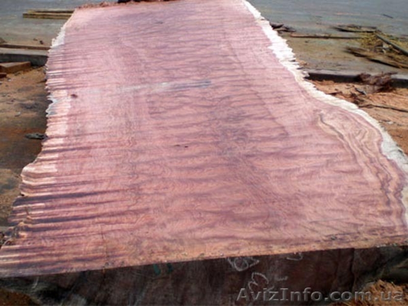 Кап, сувель, бруски, корень, торцевой срез  с красивешей текстурой. - <ro>Изображение</ro><ru>Изображение</ru> #7, <ru>Объявление</ru> #1371751