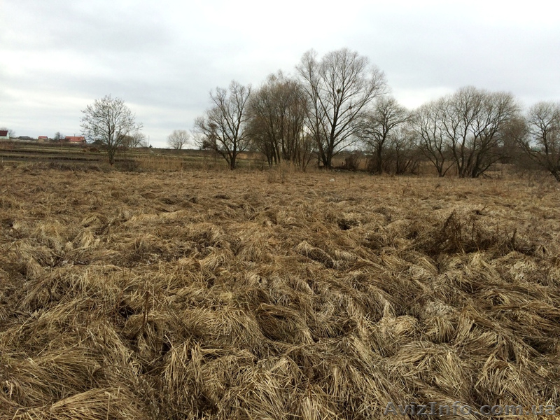 участок в Тарасовке 12с - <ro>Изображение</ro><ru>Изображение</ru> #5, <ru>Объявление</ru> #1387611