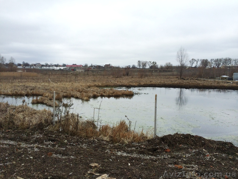 участок в Тарасовке 12с - <ro>Изображение</ro><ru>Изображение</ru> #6, <ru>Объявление</ru> #1387611