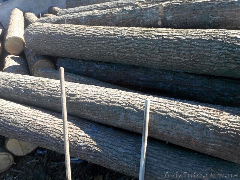 Куплю доску и кругляк дуба. - <ro>Изображение</ro><ru>Изображение</ru> #2, <ru>Объявление</ru> #1383586
