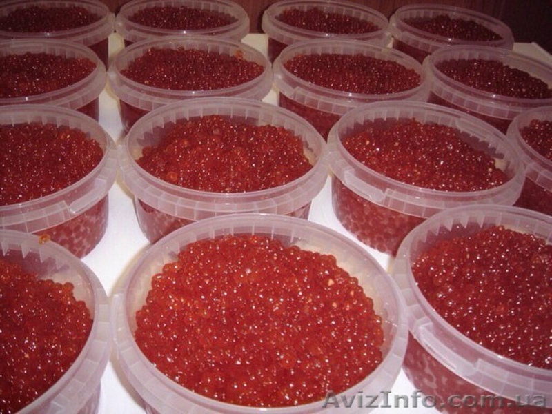 Черная икра, CAVIAR  - <ro>Изображение</ro><ru>Изображение</ru> #3, <ru>Объявление</ru> #1385950