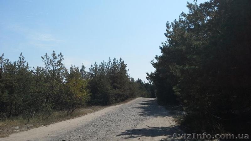 участок земли вышгородский р-н, с. Ровжи - <ro>Изображение</ro><ru>Изображение</ru> #3, <ru>Объявление</ru> #1424748