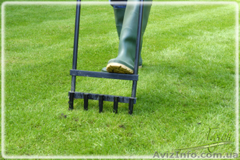 Аэрация газона; вертикуляция - <ro>Изображение</ro><ru>Изображение</ru> #1, <ru>Объявление</ru> #1406064