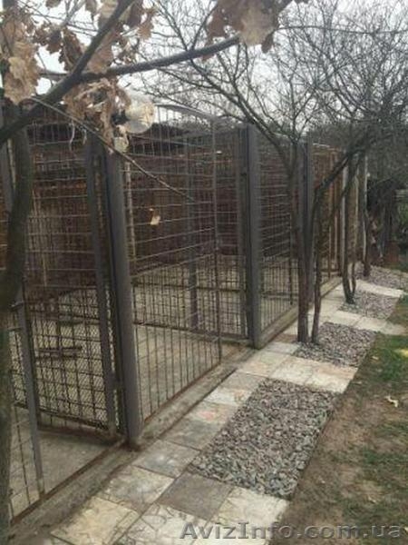 Гостиница для собак под Киевом - <ro>Изображение</ro><ru>Изображение</ru> #2, <ru>Объявление</ru> #1418739