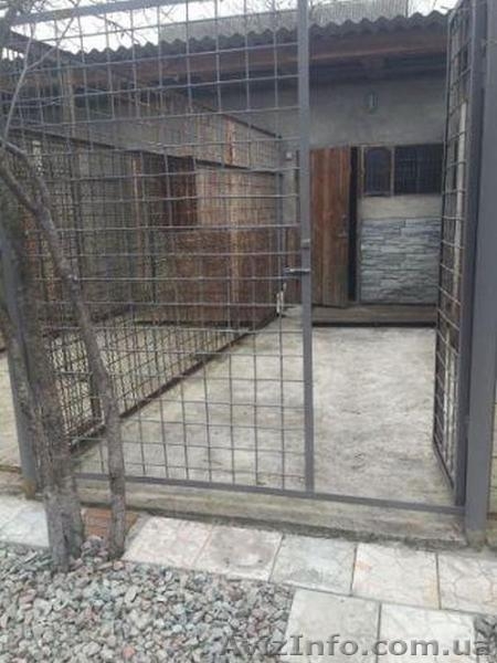 Гостиница для собак под Киевом - <ro>Изображение</ro><ru>Изображение</ru> #4, <ru>Объявление</ru> #1418739