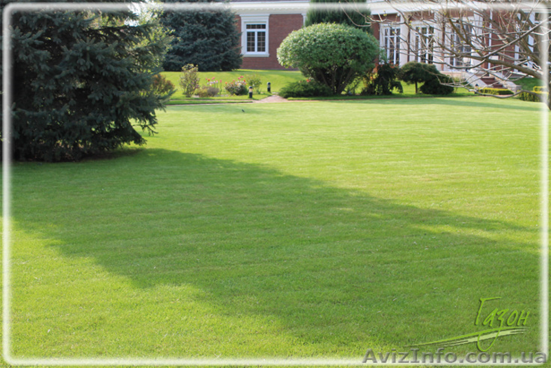 Уход за газоном, все виды работ - <ro>Изображение</ro><ru>Изображение</ru> #4, <ru>Объявление</ru> #1406057