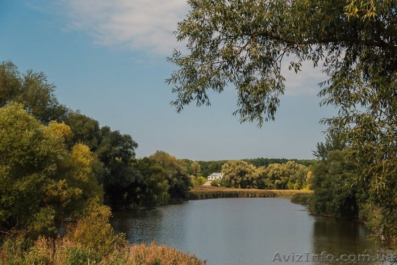 База отдыха «Щилин» - <ro>Изображение</ro><ru>Изображение</ru> #5, <ru>Объявление</ru> #1421084