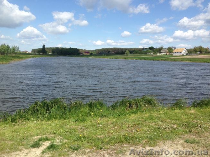 Продам Землю 25 км от Киева - <ro>Изображение</ro><ru>Изображение</ru> #3, <ru>Объявление</ru> #1433118