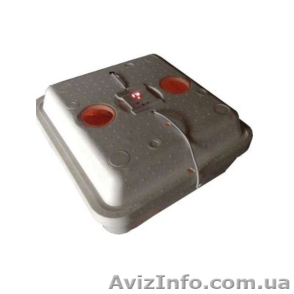 Мини инкубаторы дешево - <ro>Изображение</ro><ru>Изображение</ru> #3, <ru>Объявление</ru> #1444006