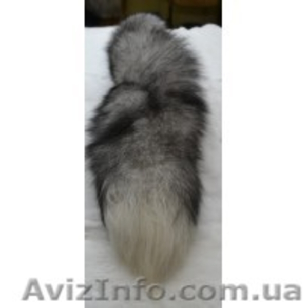 меха и форнитура - <ro>Изображение</ro><ru>Изображение</ru> #3, <ru>Объявление</ru> #1457792