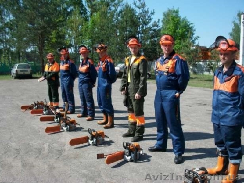 Валка-обрезка, спил, кронирование, удаление, удалить, веток, дерев, деревьев. - <ro>Изображение</ro><ru>Изображение</ru> #1, <ru>Объявление</ru> #1447552