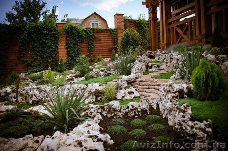 Озеленение садовых и загородных участков в Киеве и области - <ro>Изображение</ro><ru>Изображение</ru> #1, <ru>Объявление</ru> #1451234