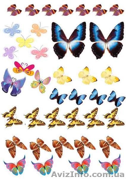 Съедобная фото печать оперативно - <ro>Изображение</ro><ru>Изображение</ru> #1, <ru>Объявление</ru> #1453306