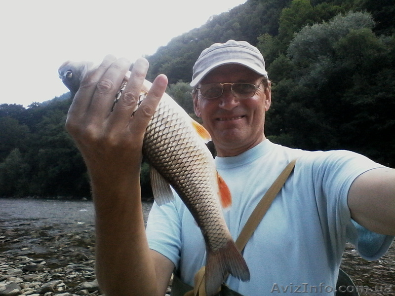 Мушки Оса, комарики, жуки, мухи - <ro>Изображение</ro><ru>Изображение</ru> #7, <ru>Объявление</ru> #1454226