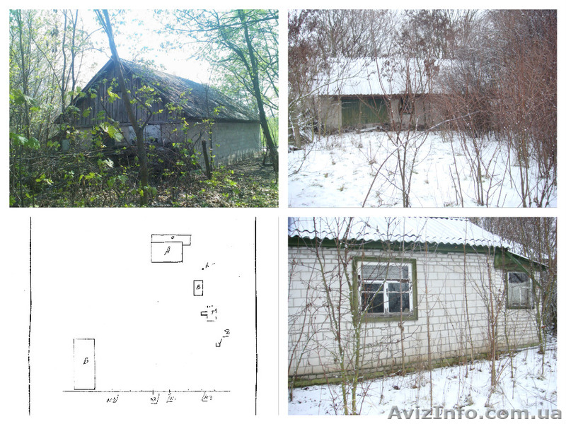 Дом с участком. Черниговская обл, Козелецький р-н, село Одинцы - <ro>Изображение</ro><ru>Изображение</ru> #2, <ru>Объявление</ru> #1447332