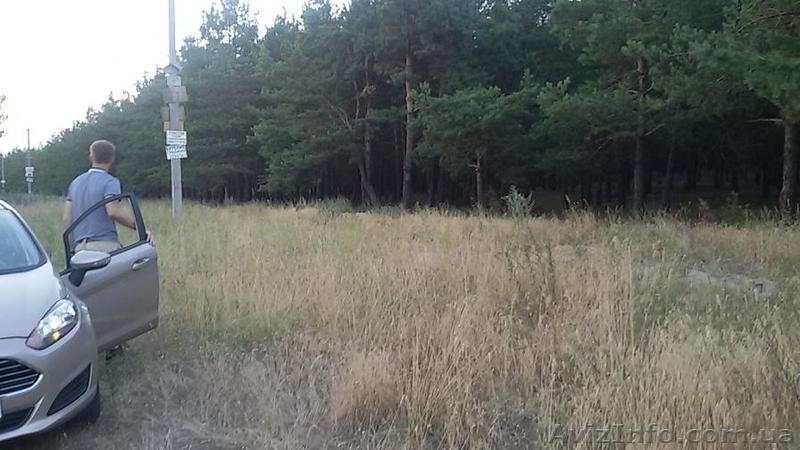 Участок в лесу. Асфальт по самый участок. - <ro>Изображение</ro><ru>Изображение</ru> #4, <ru>Объявление</ru> #1469944