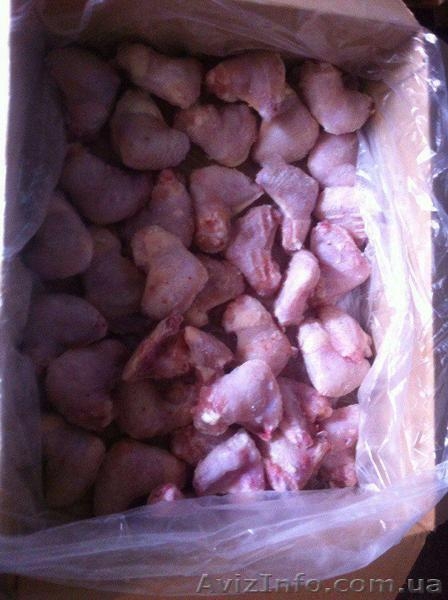 Производство и оптовая продажа куриной продукции - <ro>Изображение</ro><ru>Изображение</ru> #1, <ru>Объявление</ru> #1460205