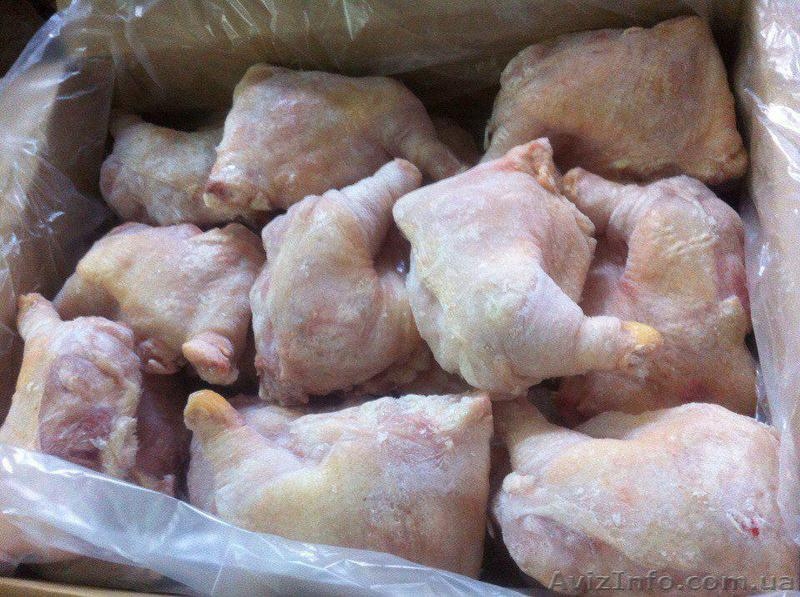 Производство и оптовая продажа куриной продукции - <ro>Изображение</ro><ru>Изображение</ru> #3, <ru>Объявление</ru> #1460205