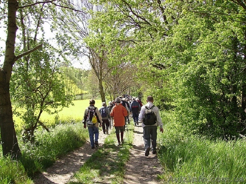 Отель с рестораном (гостевой дом) и квартирой под Лейпцигом, Германия - <ro>Изображение</ro><ru>Изображение</ru> #7, <ru>Объявление</ru> #1468475