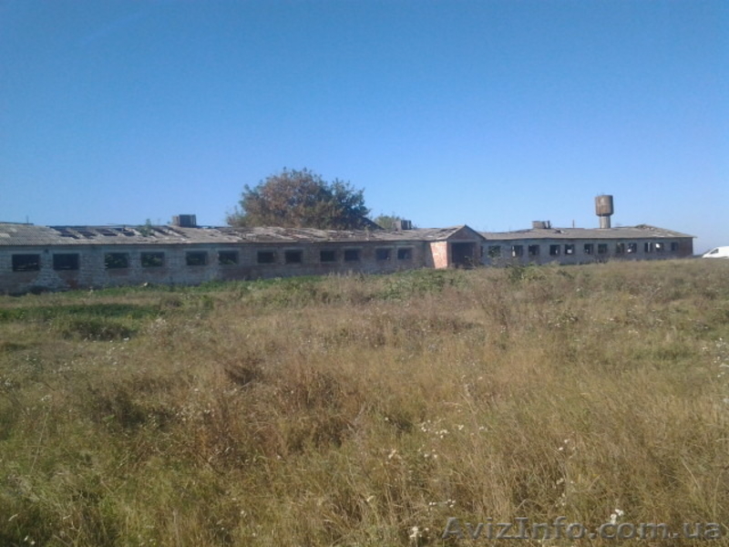 Продается здание фермы в аварийном состоянии (с.Дидовщина) - <ro>Изображение</ro><ru>Изображение</ru> #3, <ru>Объявление</ru> #1483794