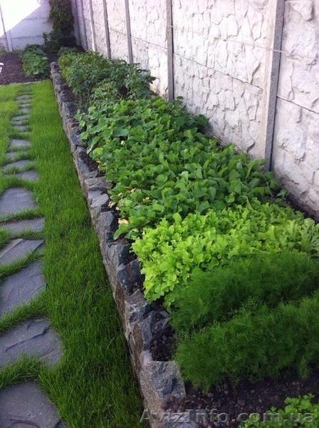 Продажа дома в Петропавловской Борщаговке - <ro>Изображение</ro><ru>Изображение</ru> #1, <ru>Объявление</ru> #1478816