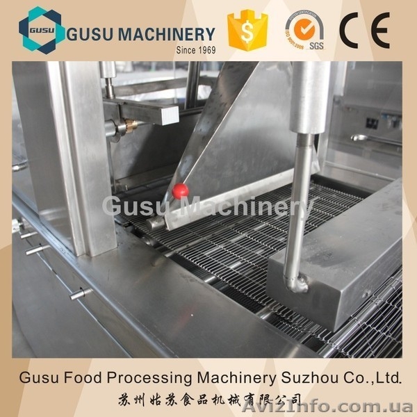 Линия глазирования шоколадом Гусу из Китая (skype: li.faina) - <ro>Изображение</ro><ru>Изображение</ru> #3, <ru>Объявление</ru> #1481325