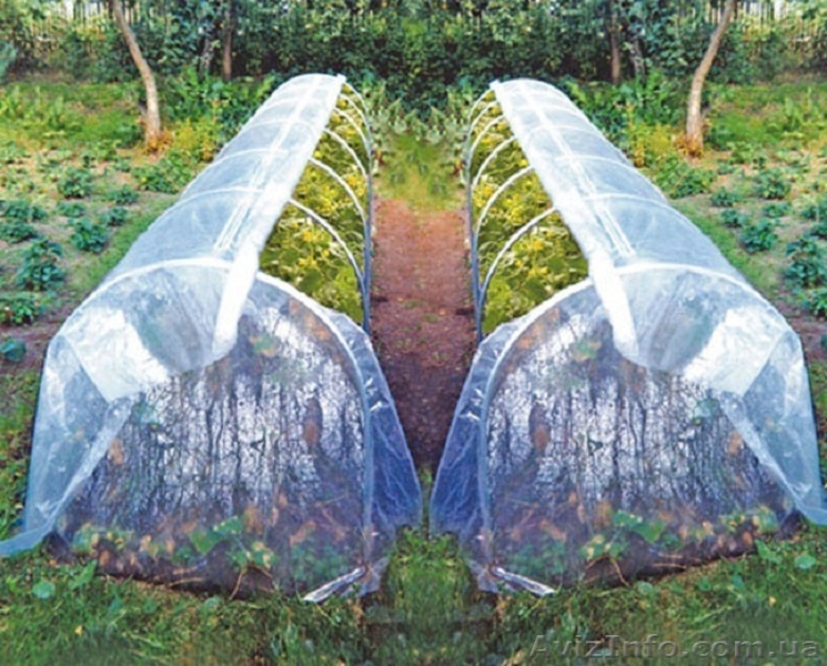 Теплица - парник р-р 1х4.5х1.1 м. (с плёнкой) - <ro>Изображение</ro><ru>Изображение</ru> #3, <ru>Объявление</ru> #1480892