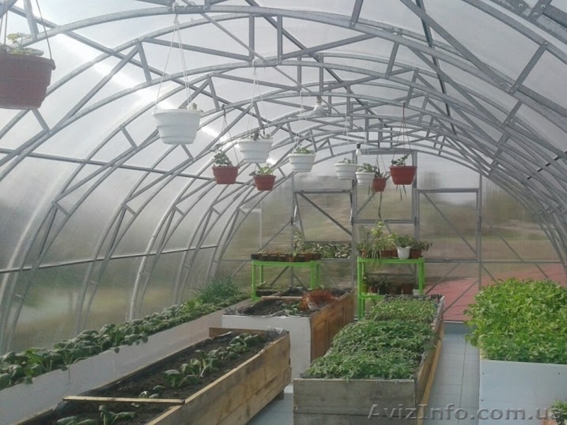 Каркас теплицы из поликарбоната 5х10х2.5 м. - <ro>Изображение</ro><ru>Изображение</ru> #1, <ru>Объявление</ru> #1480879