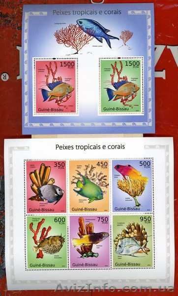 2010 Гвинея БИСАУ Фауна Флора  - <ro>Изображение</ro><ru>Изображение</ru> #4, <ru>Объявление</ru> #1494683