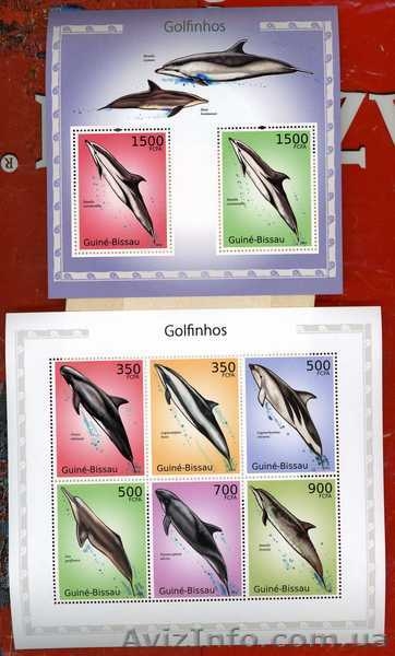 2010 Гвинея БИСАУ Фауна Флора  - <ro>Изображение</ro><ru>Изображение</ru> #5, <ru>Объявление</ru> #1494683