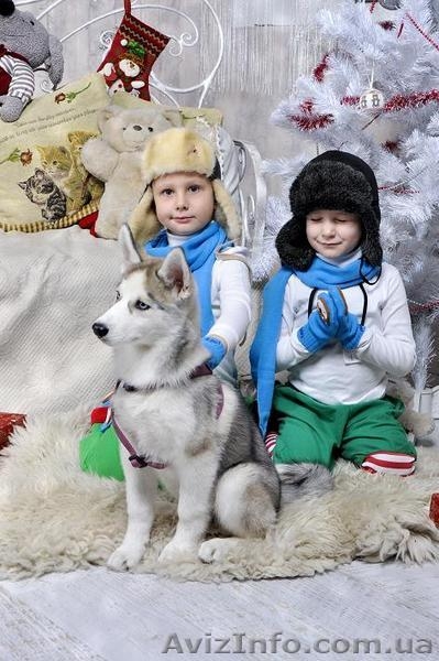 Фотограф на детские мероприятия - <ro>Изображение</ro><ru>Изображение</ru> #1, <ru>Объявление</ru> #1506341