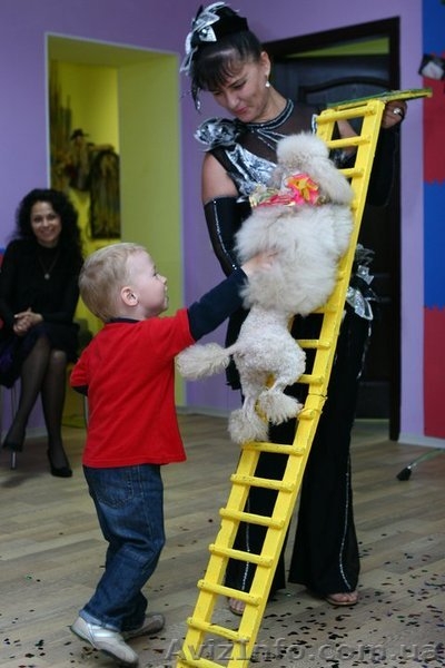 Детские шоу программы - <ro>Изображение</ro><ru>Изображение</ru> #5, <ru>Объявление</ru> #1509368