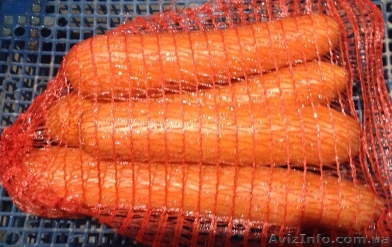 МОРКОВЬ - прямой поставщик из Украины - <ro>Изображение</ro><ru>Изображение</ru> #3, <ru>Объявление</ru> #1507376