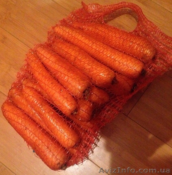 МОРКОВЬ - прямой поставщик из Украины - <ro>Изображение</ro><ru>Изображение</ru> #2, <ru>Объявление</ru> #1507376
