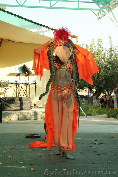 Дед Мороз И Снегурочка. Новый Год. - <ro>Изображение</ro><ru>Изображение</ru> #7, <ru>Объявление</ru> #1511627