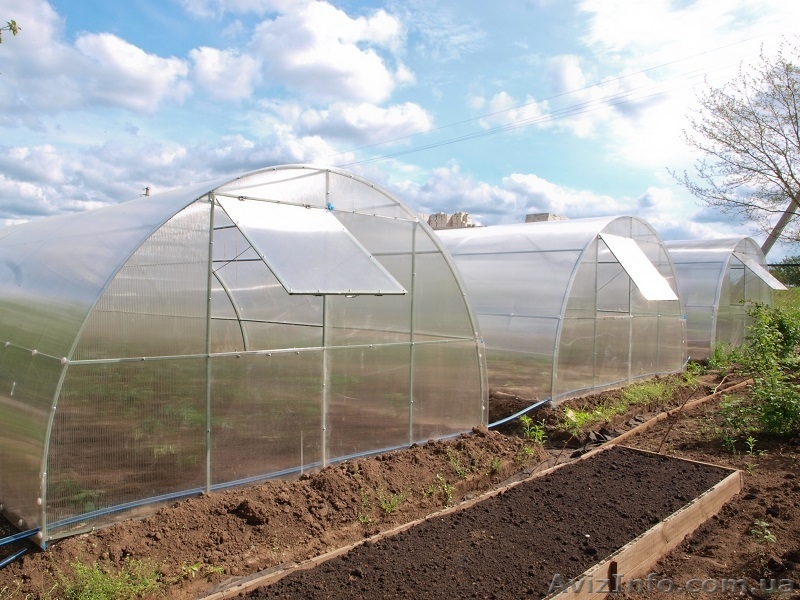Теплицы  промышленные от производителя. - <ro>Изображение</ro><ru>Изображение</ru> #2, <ru>Объявление</ru> #1505460
