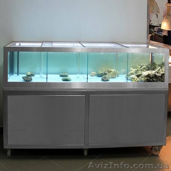 Аквариум для Устриц, Омаров, Лобстеров 0674011931 - <ro>Изображение</ro><ru>Изображение</ru> #1, <ru>Объявление</ru> #1518749