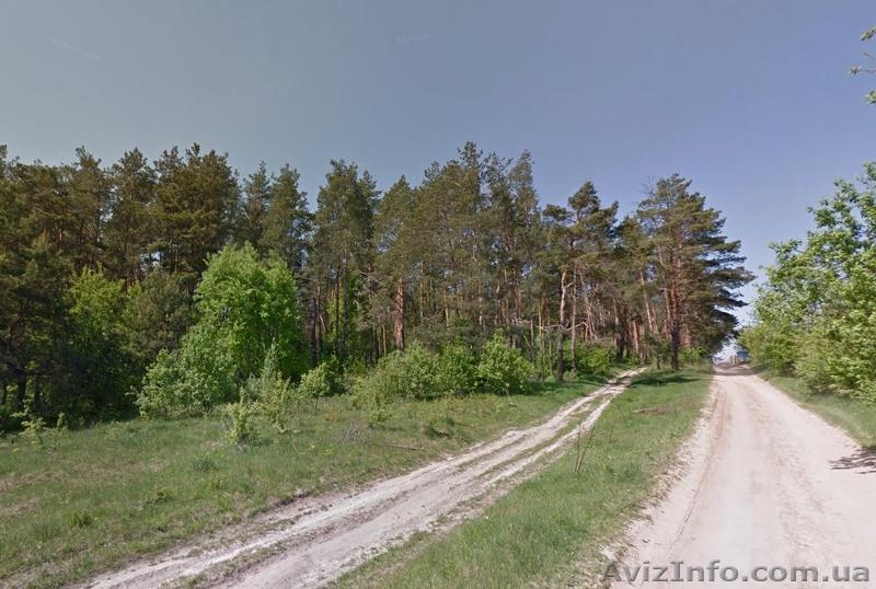 Суперучасток! Лучшее место, площадь и цена! Тарасовка 4.25 сот, без % - <ro>Изображение</ro><ru>Изображение</ru> #5, <ru>Объявление</ru> #1534634