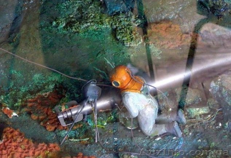 Киевская морская школа - <ro>Изображение</ro><ru>Изображение</ru> #2, <ru>Объявление</ru> #1532166