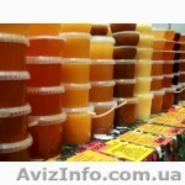 Ведро овальное 5.6 литров с герметической крышкой - <ro>Изображение</ro><ru>Изображение</ru> #3, <ru>Объявление</ru> #1369230