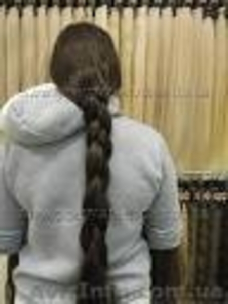 Продать волосы дорого в любом городе. - <ro>Изображение</ro><ru>Изображение</ru> #1, <ru>Объявление</ru> #1547542