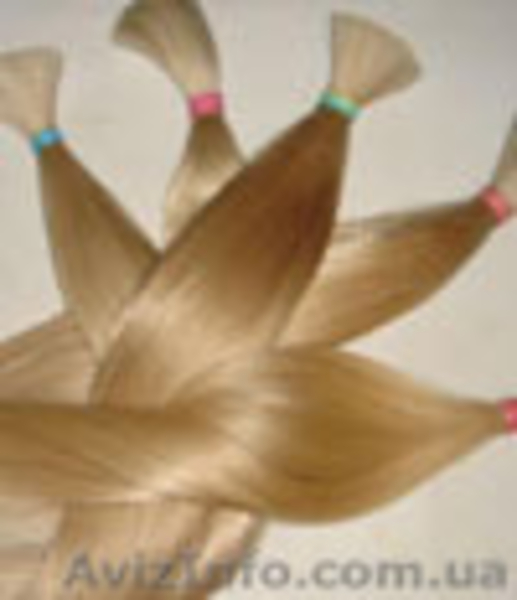 Продать волосы дорого в любом городе. - <ro>Изображение</ro><ru>Изображение</ru> #2, <ru>Объявление</ru> #1547542