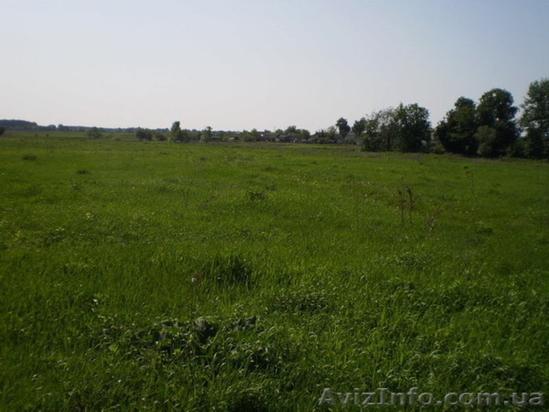 Участок 12 соток в с. Волошиновка - <ro>Изображение</ro><ru>Изображение</ru> #3, <ru>Объявление</ru> #1297353